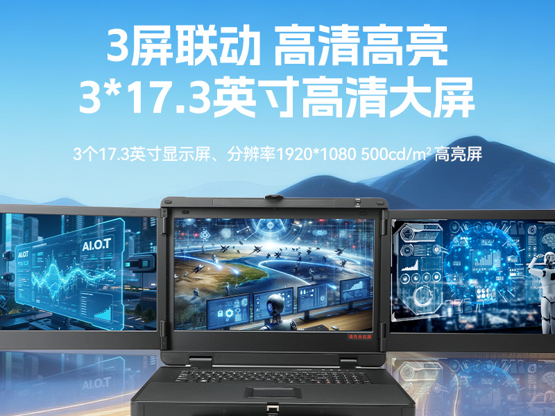 17.3英寸三屏加固便攜機,騰銳D2000國產工業(yè)筆記本,DTG-3173CU-FD2KMCL2